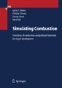 Simulating Combustion - Simulation of combustion and pollutant formation for engine-development