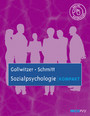 Sozialpsychologie kompakt - Mit Online-Materialien